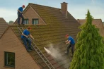Roof moss removal in Lethbridge T0K 0T0 and gutter maintenance